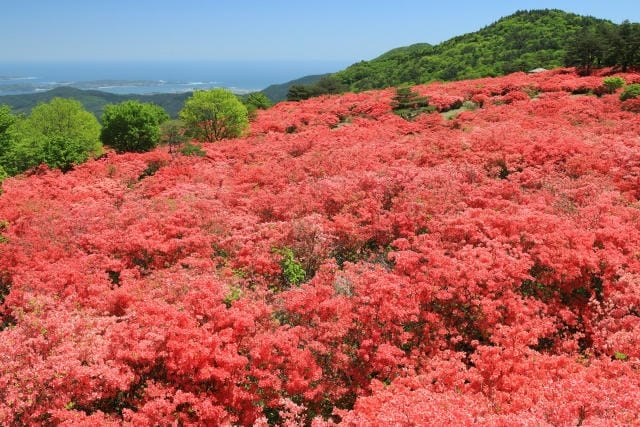 群馬の山々とゴルフ会員権の魅力